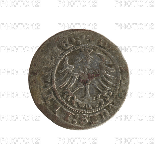 Lithuanian half-grosz, Sigismund I the Old (king of Poland; 1506–1548). Silver coin (half-grosz). Obverse: Pogon (Lithuanian mounted knight) turned left; in the rim between pearl borders an inscription: ONETA:SIGI, MV, DI. Reverse: Polish crowned eagle; in the rim between pearl borders an inscription: + VCIS:LITVANIE.:. Dated 1508–1529. Minted in Vilnius, Grand Duchy of Lithuania (Poland–Lithuania, Jagiellon period).