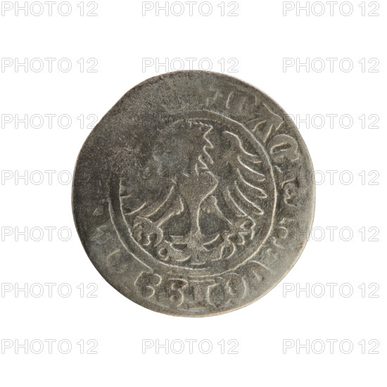 Lithuanian half-grosz, Sigismund I the Old (King of Poland; 1506–1548). Obverse: Pogon (Lithuanian charging knight) turned left; rim between pearl-shaped borders with inscription ONETA·SIGISMV·D. Reverse: Polish crowned eagle; rim between pearl-shaped borders with inscription AGNI·DVCIS·LI. Date: 1508–1529. Material: coin. Place: Vilnius, Grand Duchy of Lithuania. Style: Jagiellon dynasty emblems (eagles, Pogon).