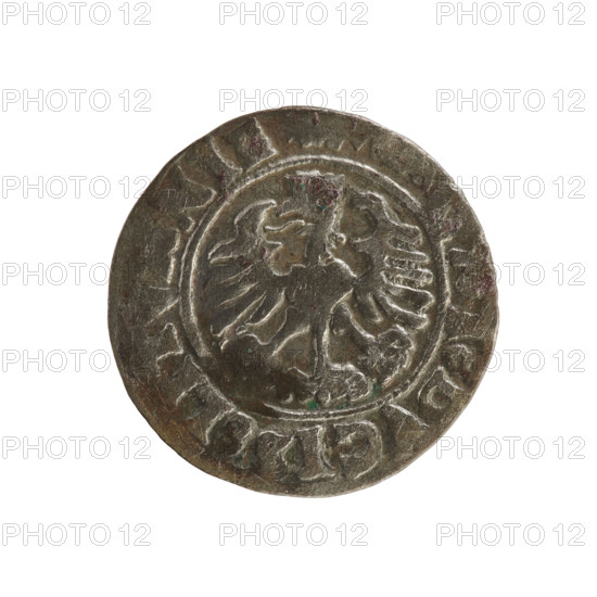 Lithuanian half-grosz, Sigismund I the Old (King of Poland; reign 1506–1548). Copper or billon coin (half-grosz), dated 1508–1529. Obverse: Pogon (Lithuanian horseman) turned left; rim with pearl-shaped borders and inscription '+ MO ETA MVN' (inscription rendered as given). Reverse: crowned Polish eagle; rim with pearl-shaped borders and inscription ':DVCIS:LITVANIE:'. Style: early 16th-century Jagiellon coinage; motifs/emblems include Pogon and Eagle. Minted in Vilnius, Grand Duchy of Lithuania, Poland–Lithuania.