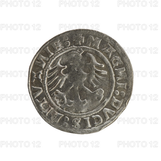 Lithuanian half-grosz, Sigismund I the Old (king of Poland; 1506–1548). R8 (rarity). Polish coin from the Jagiellonian dynasty. Obverse: Pogon (Lithuanian coat of arms) turned left; in the rim between pearl borders an inscription: + MO, ETA:SIGISMV, DI:5191. Reverse: Polish crowned eagle; in the rim between pearly borders an inscription: + MAG, I:DVCIS:LITVA, IE:. Date: 1508–1529. Place: Vilnius, Grand Duchy of Lithuania (Poland).