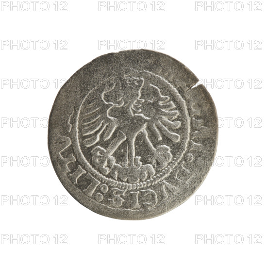 Lithuanian half-grosz, Sigismund I the Old (King of Poland; reigned 1506–1548). Obverse: Pogon (Lithuanian mounted knight) turned left; in rim between pearl-shaped borders an inscription: SMVNDI:1519. Reverse: Polish crowned eagle; in rim between pearl-shaped borders an inscription: AG, I:DVCIS:LITV, 1519. Silver coin; Jagiellon dynasty; Grand Duchy of Lithuania; Vilnius; Poland.