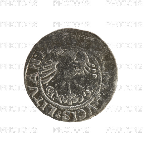 Lithuanian half-grosz, Sigismund I the Old (king of Poland; 1506–1548). Obverse: Chaser (coat of arms; Lithuania) turned left; in the rim between pearl borders an inscription: SIGISMV.NDI:1519. Reverse: Polish eagle with a crown; in the rim between pearl borders an inscription: A, NI:DVCIS:LITVAN.I, 1519. R8 (rarity). Polish coin; Jagiellonian dynasty; coats of arms; Grand Duchy of Lithuania; Vilnius; Poland.