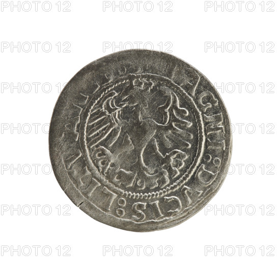 Lithuanian half-grosz, Sigismund I the Old (king of Poland; 1506–1548). Silver coin dated 1519. Obverse: Pursuer (Pogonia) turned left, inscribed in rim between pearl borders: + MON A SIGISMVNDI 1519. Reverse: Crowned Polish eagle, inscribed in rim between pearl borders: AGNI DVCIS LITVAN 1519. Jagiellon dynasty emblems; Grand Duchy of Lithuania, Vilnius, Poland.