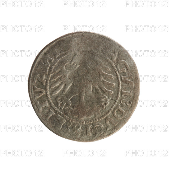 Lithuanian half-grosz, Sigismund I the Old (King of Poland; 1506–1548). Obverse: Pogon (Lithuanian knight) turned left; in the rim between pearl-shaped borders an inscription: + M, A:SIGISMV:1519:. Reverse: crowned Polish eagle; in the rim between pearl-shaped borders an inscription: AG, I:DVCIS:LITVA, I, 1519. Silver coin, Grand Duchy of Lithuania (Vilnius), 1519.
