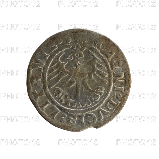 Lithuanian half-grosz, Sigismund I the Old (king of Poland; 1506–1548). Polish coin, 1519. Obverse: Chaser (coat of arms of Lithuania) turned left; in rim between pearl borders an inscription: + MO, ETA:SIGIS, V, DI:1519:. Reverse: Polish crowned eagle; in rim between pearl borders an inscription: AGNI:DVCIS:LITANIE., 1519. Jagiellonian dynasty; coats of arms, eagles. Grand Duchy of Lithuania, Vilnius, Poland.