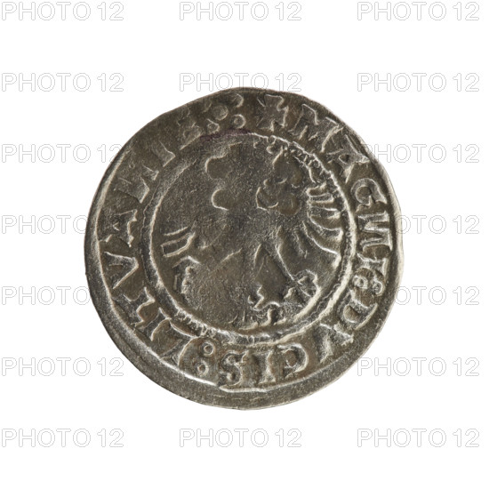 Lithuanian half-grosz, Sigismund I the Old (king of Poland; 1506–1548). R8 (rarity). Polish coin of the Jagiellonian dynasty. Obverse: Chaser (Chaser turned left), in the rim between pearl borders an inscription: + COIN:SIGISMVNDI:1519. Reverse: Polish eagle with a crown, in the rim between pearly borders an inscription: + MAG, I:DVCIS:LITVA, IE:.:, 1519. Grand Duchy of Lithuania, Vilnius, Poland.