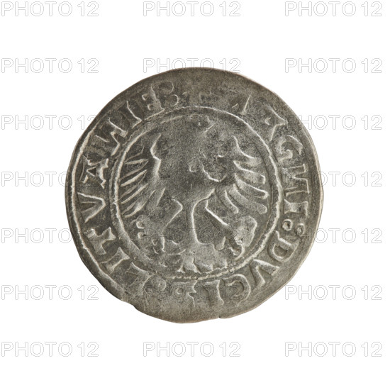Lithuanian half-grosz (1520) of Sigismund I the Old (King of Poland, 1506–1548). Obverse: Pogon (Lithuanian mounted knight) turned left; in the rim between pearl borders an inscription: + MO,A:SIGISMV,DI. Reverse: crowned Polish eagle; in the rim between pearl borders an inscription: AG,I:DVCI,LITVA,IE: 1520. Grand Duchy of Lithuania; Vilnius. Polish coin, Jagiellon dynasty; emblems: Pogon, eagle.