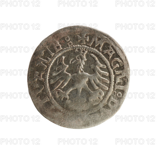 Lithuanian half-grosz, Sigismund I the Old (king of Poland; 1506–1548). Silver coin (half-grosz), 1521. Obverse: Pogon (Lithuanian knight) turned left; in the rim between pearl borders an inscription: + MO, GISMVNDIE:15Z1. Reverse: Polish crowned eagle; in the rim between pearl borders an inscription: + MAGNI:DV, VANIE:, 1521. Jagiellon dynasty; Grand Duchy of Lithuania, Vilnius; emblems: Pogon and eagle.