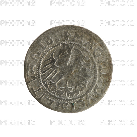 Lithuanian half-grosz, Sigismund I the Old (king of Poland; 1506–1548). Obverse: Pogon (Lithuanian mounted knight) turned left; in the rim between pearl borders an inscription: + COIN:SIGISMVANDI:15Z1. Reverse: Polish crowned Eagle; in the rim between pearl borders an inscription: + MAGNI, DVCIS:LITVANIE, 1521. Silver coin, Grand Duchy of Lithuania, Vilnius, Poland; Jagiellonian dynasty; emblems: Pogon and Eagle.