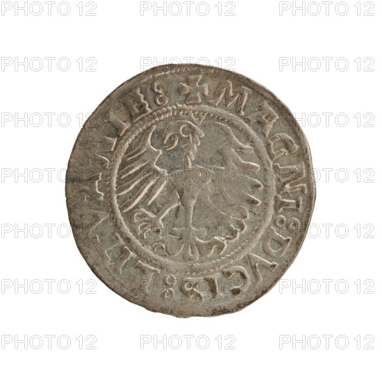 Lithuanian half-grosz of Sigismund I the Old (reigned as king of Poland 1506–1548), 1521. Silver coin from the Grand Duchy of Lithuania (Vilnius). Obverse: Pogon (Chasing Knight) facing left; in the rim between pearl borders an inscription: +COIN:SIGISMVNDI:1. Reverse: crowned Polish eagle; in the rim between pearl borders an inscription: +MAGNI:DVCIS:LITVANIE:. Style: Jagiellonian dynasty emblems (Pogon and Eagle).