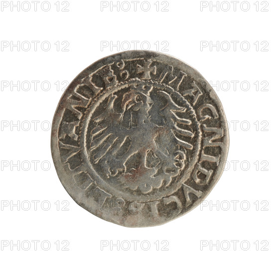 Lithuanian half-grosz, Sigismund I the Old (king of Poland; 1506–1548). Coin (1521). Obverse: Pogon turned left; in the rim between pearl borders an inscription: + TA:SIGISMVNDI:15Z1. Reverse: Polish crowned eagle; in the rim between pearl borders an inscription: + MAGNIDVCIS, LITVANIE:, 1521. Grand Duchy of Lithuania, Vilnius.