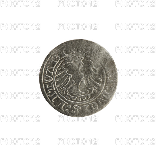 Lithuanian half-grosz, Sigismund I the Old (King of Poland; 1506–1548). Obverse: Pogon (mounted knight) turned left; in the rim between pearl borders an inscription: + COIN, VNDI:13:. Reverse: Polish crowned eagle; in the rim between pearl borders an inscription: NI:DVCIS:LITVANI. Dated 1513. Grand Duchy of Lithuania (Vilnius). Polish coin; coats of arms: Eagle, Pogon; Jagiellonian dynasty; rarity R8.