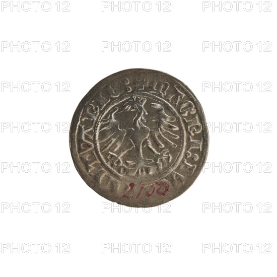 Lithuanian half-grosz, Sigismund I the Old (king of Poland; 1506–1548). R8 (rarity). Polish coin dated 1513, minted in Vilnius, Grand Duchy of Lithuania. Obverse: Pogon (mounted knight) turned left; in rim between pearl borders an inscription: + M, ETA:SIGI, VNDI:13. Reverse: Polish crowned Eagle; in rim between pearl borders an inscription: + MAGNI:DV, ITVANIE:. Coats of arms: Eagle (coat of arms), Pogon (coat of arms).