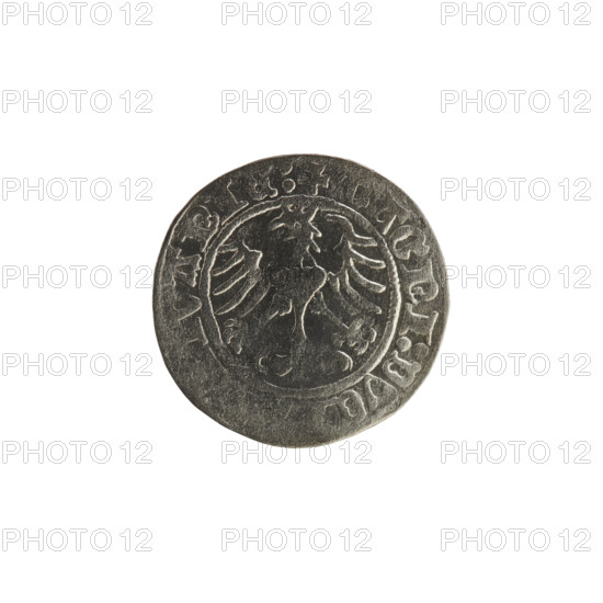 Lithuanian half-grosz, Sigismund I the Old (King of Poland; 1506–1548). Obverse: Pogon (mounted knight) turned left; in the rim between pearl borders an inscription: + COIN:SIGIS, :1513:. Reverse: Polish crowned eagle; in the rim between pearly borders an inscription: +, AGNI:DVC, VANIE:, 1513. Silver coin (AG), R8 (rarity). Grand Duchy of Lithuania, Vilnius; Poland. Subjects: Polish coins, eagles, Jagiellonians (dynasty), coats of arms.