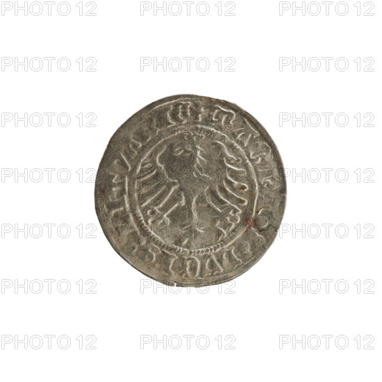 Lithuanian half-grosz, Sigismund I the Old (King of Poland; 1506–1548). Obverse: Pogon (Lithuanian coat of arms) turned left; in the rim between pearl borders an inscription: + COIN:SIGISMV, I:13. Reverse: Polish crowned eagle; in the rim between pearl borders an inscription: + MAGNI, DVCIS, LITVANIE, 1513. Coin of the Grand Duchy of Lithuania (Vilnius, Poland).
