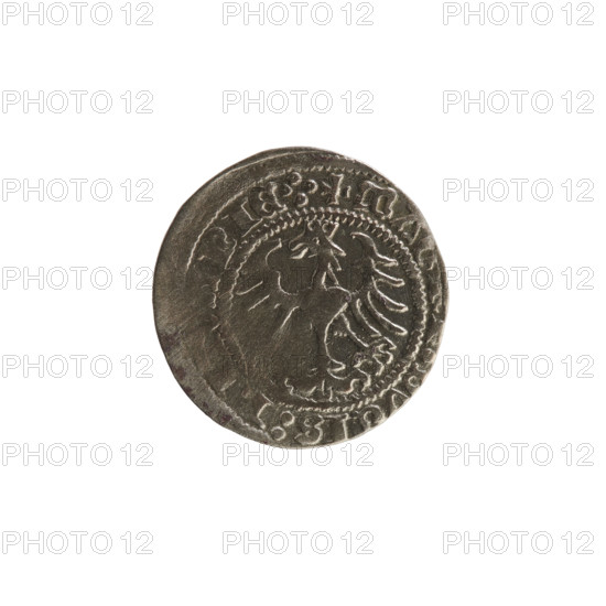 Lithuanian half-grosz, Sigismund I the Old (King of Poland; 1506–1548). Obverse: Pogon turned left; in the rim between pearl borders an inscription: + COIN:SIGIS, 3:. Reverse: Polish crowned eagle; in the rim between pearl borders an inscription: + MA, IS:, NIE.:., 1513. Silver coin, Grand Duchy of Lithuania (Vilnius), Poland.
