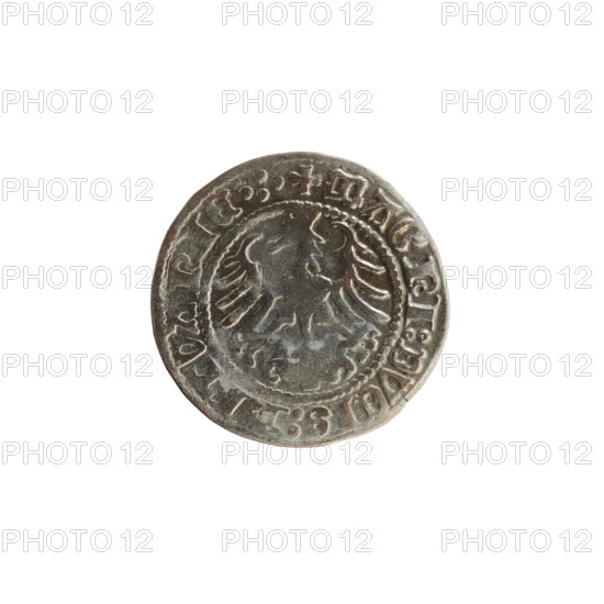Lithuanian half-grosz, Sigismund I the Old (King of Poland; 1506–1548). Obverse: Pogon turned left; in the rim between pearl borders an inscription: + COIN:SIGISMVNDI:13. Reverse: Polish crowned eagle; in the rim between pearly borders an inscription: + MAGNI:DVCIS:LITVANIE.:. Date: 1513. Grand Duchy of Lithuania (Vilnius). Materials: coin; coats of arms: Pogon and Eagle; dynasty: Jagiellons.