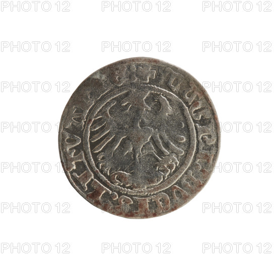 Lithuanian half-grosz, Sigismund I the Old (King of Poland; 1506–1548). Obverse: Pogon (Lithuanian coat of arms) turned left; in the rim between pearl borders an inscription: + COIN:SIGISMV, DI:1514. Reverse: crowned Polish eagle; in the rim between pearl borders an inscription: + MAGNI:DVCIS:LITVA, E:, 1514. Polish coin of the Jagiellon dynasty; Grand Duchy of Lithuania, Vilnius.