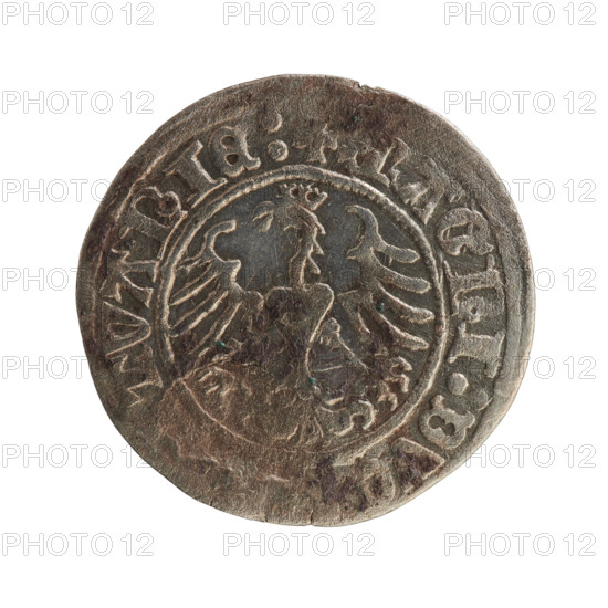 Lithuanian half-grosz, Sigismund I the Old (King of Poland, 1506–1548). Obverse: Pogon (Lithuanian coat of arms) turned left; in the rim between pearly borders an inscription: + M, TA:SIGI, DI:1515:. Reverse: Polish crowned eagle; in the rim between pearly borders an inscription: + MAGNI:DVC, TVANIE:, 1515. Polish coin of the Jagiellon dynasty; Grand Duchy of Lithuania (Vilnius).