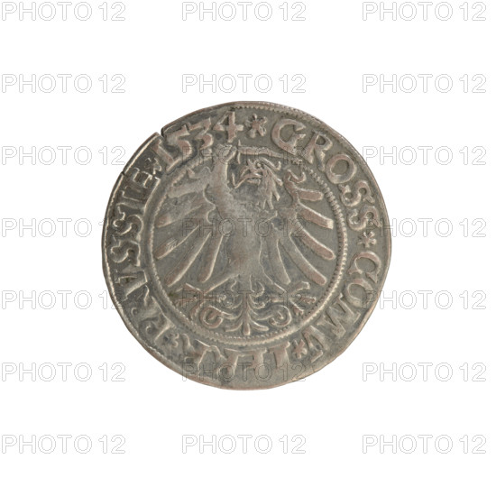 Prussian grosz, Sigismund I the Old (King of Poland; 1506–1548). Polish coin (Jagiellonian dynasty). Obverse: Crowned male bust in profile turned to the right; in the rim between pearl borders an inscription: .SIGIS.I.REX.PO.DO.TOCI.PRVSSIE. Reverse: The Eagle of Royal Prussia; in the rim between the pearl borders the inscription: .GROSS.COMV.TERR.PRVSSIE. Dated 1534. Minted in Torun, Poland.