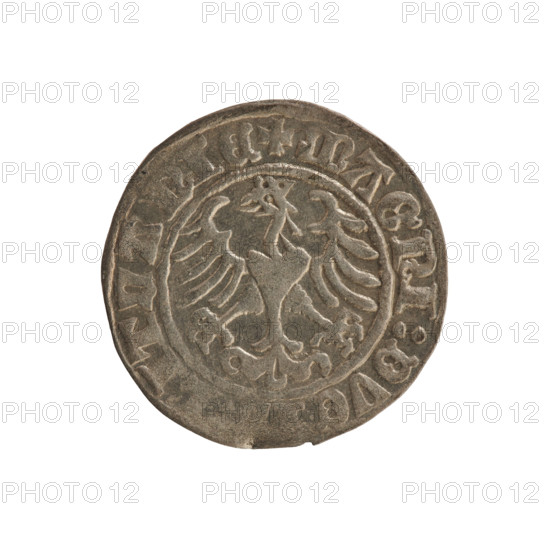 Lithuanian half-grosz, Sigismund I the Old (King of Poland; 1506–1548). Obverse: Pogon (Lithuanian coat of arms) turned left; in the rim between pearl-shaped borders an inscription: + MO, TA:SIGISMVNDI:1509. Reverse: Polish crowned eagle; in the rim between pearl-shaped borders an inscription: + MAGNI:DVC, ITVANIE, 1509. Polish coin of the Jagiellon dynasty; emblems: eagle and Pogon. Minted in Vilnius, Grand Duchy of Lithuania.