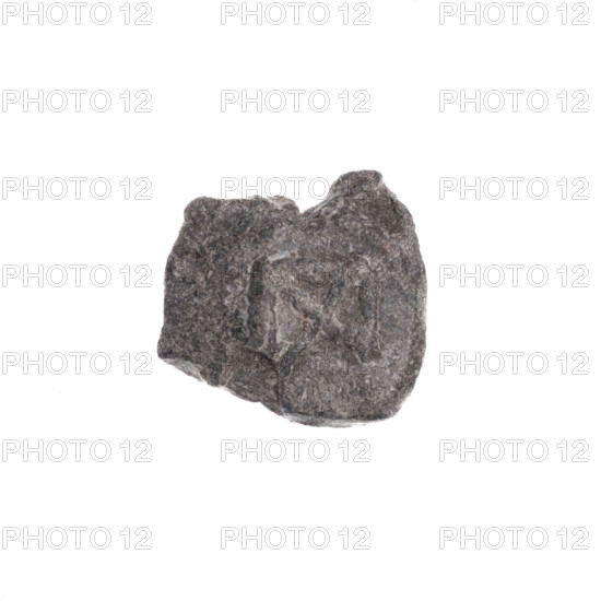Drohiczyn seal; guild seals; town seals; customs house seals; customs seals; official seals; seals with a letter. A fragment of a double-sided Drohiczyn seal. On one side, the letter H with dots at the ends of the arms; on the other, a rectangle with marked diagonals. 11th–13th century, Drohiczyn, Poland.