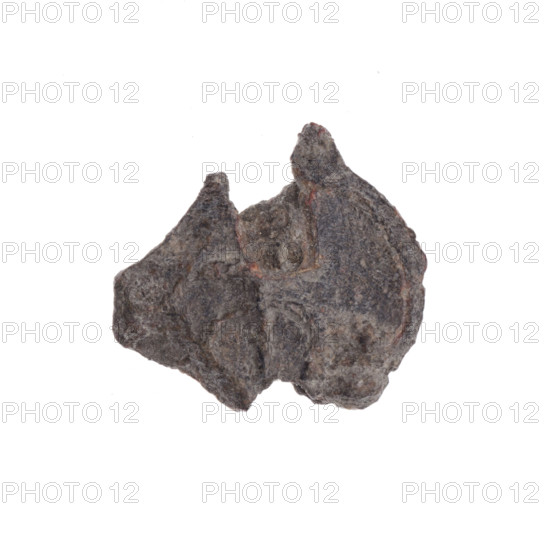 Fragment of a double-sided Drohiczyn seal. On one side, an eagle with its head turned to the left; on the other side, a bident with a crossed-out right arm. 11th–13th century. Drohiczyn, Poland.