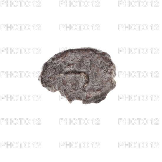 Fragment of a double-sided Drohiczyn seal. On one side, a cross with one arm ending in a triangle (an ank cross). On the other side, the letter C. 11th–13th century, Drohiczyn, Poland. Seals: guild seals, customs seals, customs chamber seals, town seals, official seals, seals with a cross, seals with a letter.