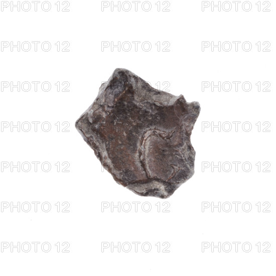 Fragment of a double-sided Drohiczyn seal. On one side, a cross with one arm ending in a triangle (an ank cross). On the other side, the letter C. 11th–13th century, Drohiczyn, Poland.