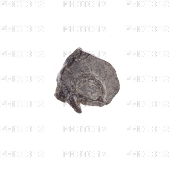 Fragment of a double-sided Drohiczyn seal. On one side, a cross with one arm ending in a triangle (an ank cross). On the other side, the letter C. 11th–13th century. Poland, Drohiczyn.
