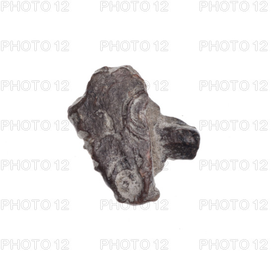 Fragment of a double-sided Drohiczyn seal. On one side, a fragment of a cross with one arm ending in a triangle (ankh cross). On the other side, a fragment of the letter C. 11th–13th century, Drohiczyn, Poland. Seals: customs, guild, customs house, seals with a cross, official town seal.