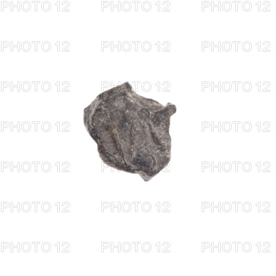 Drohiczyn seal; fragment of a double-sided seal. One side: a trident with dots at the ends of the arms. Other side: fragment of the letter N with dots at the ends of the lines. 11th–13th century. Drohiczyn, Poland. Seals for guilds, town, customs, officials; customs chamber seal; seal with a cross.