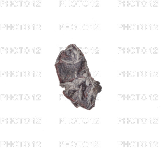 Fragment of a double-sided Drohiczyn seal. Illegible drawing on one side and the other. 11th–13th century. Drohiczyn, Poland. Types: guild seals, customs house seals, town seals, customs seals, official seals. Seal.