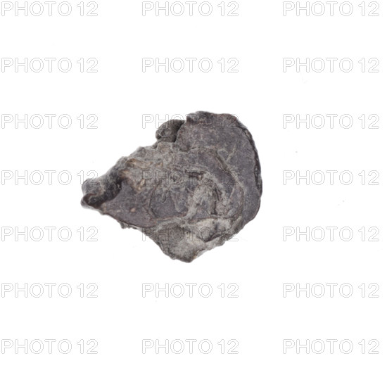 Fragment of a double-sided Drohiczyn seal. Illegible drawing on one side and the other. 11th–13th century. Drohiczyn, Poland. Genres: guild seals; customs seals; town seals; customs chamber seals; official seals.