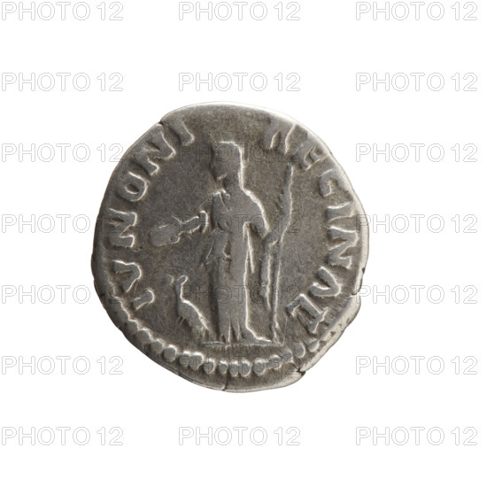 Denarius of Faustina the Younger (ca. 130–176), issuer Marcus Aurelius (121–180). Obverse: Bust of Faustina II in drapery facing right, legend FAVSTINA · AVGVSTA. Reverse: Juno veiled, standing left, holding a patera in her right hand and a long scepter in her left, a peacock at her feet left, legend IVNONI · REGINAE. Date ca. 161–176, Roman Empire. Coin; Rome. Bronze/silver (denarius). Diameter 16.5–17.0 mm, weight 2.80 g, axis 195°.