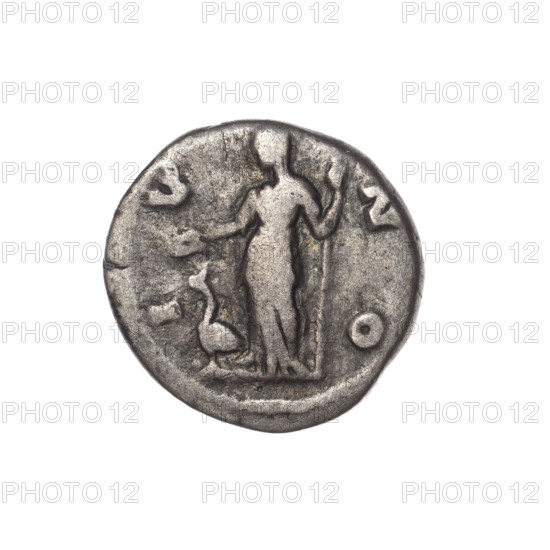 Denarius of Faustina the Younger (ca. 130–176; Roman empress 161–176), issuer Marcus Aurelius (121–180; Roman emperor 161–180). Obverse: bust of Faustina II in drapery facing right, legend FAVSTINA · AVGVSTA. Reverse: Juno veiled, standing left, holding a patera in her right hand and a long scepter in her left, a peacock at her feet on the left; legend I V · N O. Date: 161–176, Roman Empire (Rome). Coin: diameter 17.0–17.5 mm, weight 2.80 g, axis 0°.