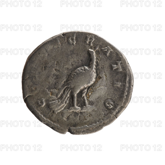 Denarius, Faustina the Younger (ca. 130–176; Roman empress 161–176) (posthumous). Issuer: Marcus Aurelius (121–180; Roman emperor 161–180). Obverse: Bust of Faustina II in drapery facing right, legend 'DIVA FAV—, A PIA' all around. Reverse: Peacock standing right with folded tail, turning head left, legend 'CO—, CRATIO' all around. After 176, Roman Empire (27 BC–476), Rome. Coin; silver. Diameter: 17.5–18.5 mm. Weight: 3.10 g. Axis: 0°.