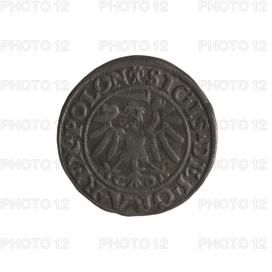 Gdansk szelag, Sigismund I the Old (King of Poland; 1506–1548). Obv.: Eagle of Royal Prussia; in the rim between pearly borders an inscription: .SIGIS.DEI.GRA.REX.POLON. Rev.: Coat of arms of Gdansk; in the rim between pearly borders an inscription: .MONE.CIVI.GEDANEN.1538. 1538. Poland, Gdansk. Coin; diameter 19.5–19.7 mm; weight 0.97 g. Subjects: Polish coins, eagle (coat of arms), eagles, Jagiellons (dynasty), coats of arms of cities, coats of arms, Gdansk (coat of arms).