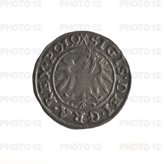 Gdansk szelag, Sigismund I the Old (King of Poland; 1506–1548). Obverse: Eagle of Royal Prussia; in the rim between pearl-shaped borders an inscription: SIGIS.DEI.GRA.REX.POLO. Reverse: Coat of arms of Gdansk; in the rim between pearl-shaped borders inscription: .MONE.IVI.GEDANEN.1539. Date: 1539. Poland, Gdansk. Coin. Diameter 19.9–20.0 mm. Weight 1.09 g. Subjects: Eagle (coat of arms), Jagiellon dynasty, coats of arms of cities.