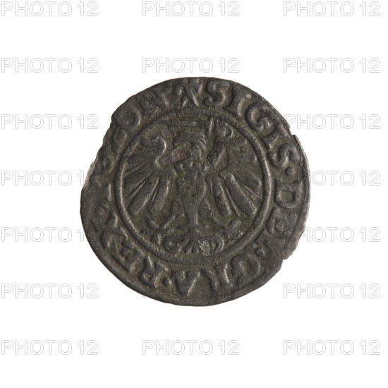 Gdansk szelag, Sigismund I the Old (King of Poland; 1506–1548). Polish coin (1539). Obverse: Eagle of Royal Prussia; in the rim between pearl-shaped borders an inscription: SIGIS.DEI.GRA.REX. Reverse: Coat of arms of Gdansk; in the rim between pearl-shaped borders an inscription: .MONE.C, I.GEDANEN. Diameter 18.8–20.0 mm, weight 0.97 g. Features: eagle (coat of arms), Jagiellons (dynasty), coats of arms, Gdansk (coat of arms).