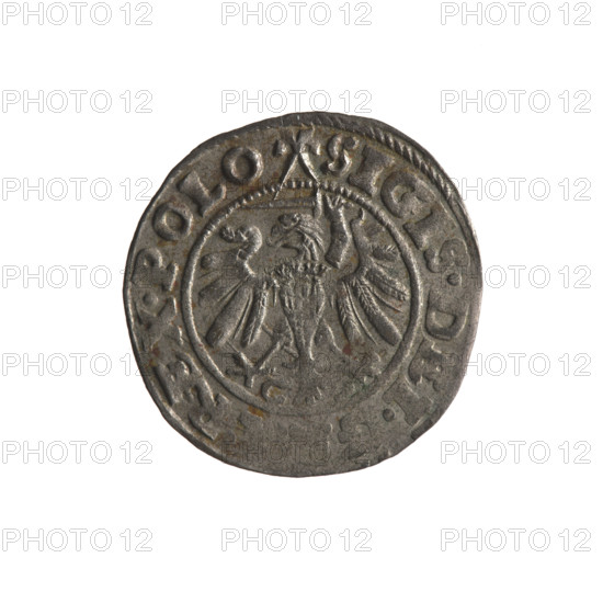 Gdansk szelag, Sigismund I the Old (King of Poland; 1506–1548). Obv.: Eagle of Royal Prussia, in the rim between pearly borders an inscription: .SIGIS.DEI., REX.POLO. Rev.: Coat of arms of Gdansk, in the rim between pearly borders an inscription: .MONE.CI. DANEN.1539. Date: 1539. Poland, Gdansk. Coin. Diameter 19.6–20.2 mm. Weight 1.2 g. Subjects/features: Polish coins; eagle (coat of arms); eagles; Jagiellons (dynasty); coats of arms of cities; Gdansk (coat of arms).