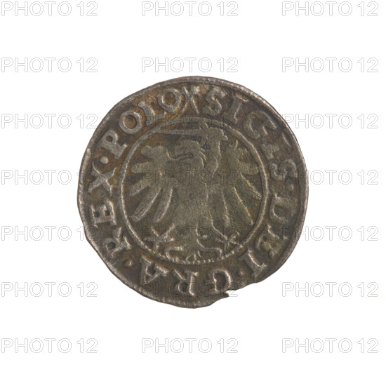 Gdansk szelag, Sigismund I the Old (King of Poland; 1506–1548). Obverse: Eagle of Royal Prussia, in the rim between pearly borders an inscription: .SIGIS.DEI.GRA.REX.POLO. Reverse: Coat of arms of Gdansk, in the rim between pearly borders an inscription: .MONE.CIVI.GEDANEN.1539. Date: 1539. Poland, Gdansk. Coin. Diameter 19.2–20.0 mm. Weight 1.9 g. Subjects: Polish coins; Eagle (coat of arms); eagles; Jagiellons (dynasty); coats of arms; Gdansk (coat of arms).