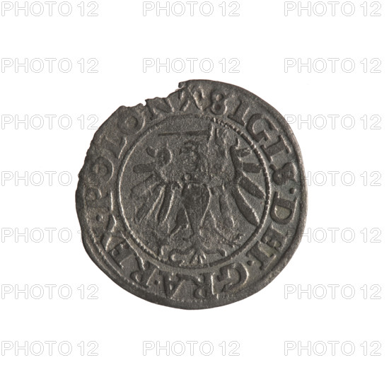 Gdansk szelag, Sigismund I the Old (King of Poland; 1506–1548). Obverse: Eagle of Royal Prussia; in the rim between pearl-shaped borders an inscription: .SIGIS.DEI.GRA.REX.POLON. Reverse: Coat of arms of Gdansk; in the rim between pearl-shaped borders an inscription: .MONE.CIVI.GEDANEN.1540. 1540. Poland, Gdansk. Coin. Diameter 19.2 mm–20.4 mm. Weight 0.97 g. Subjects: Polish coins; eagle (coat of arms); eagles; Jagiellon dynasty; coats of arms of cities; coats of arms.