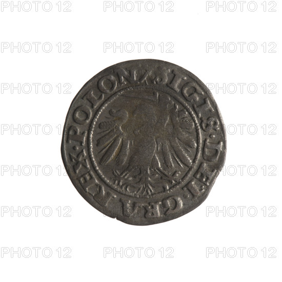Gdansk szelag, Sigismund I the Old (King of Poland; 1506–1548). Obverse: Eagle of Royal Prussia; in the rim between pearly borders an inscription: .SIGIS.DEI.GRA.REX.POLON. Reverse: Coat of arms of Gdansk; in the rim between pearly borders an inscription: .MONE.CIVI.GEDANEN.1540. Date: 1540. Poland, Gdansk. Coin. Materials/style: Polish coin featuring eagles, Jagiellon dynasty motifs, city coat of arms. Diameter: 19.4–19.7 mm. Weight: 1.14 g.