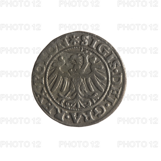 Gdansk szelag, Sigismund I the Old (King of Poland; 1506–1548). Obv.: Eagle of Royal Prussia; in the rim between pearl-shaped borders an inscription: .SIGIS.DEI.GRA.REX.POLON. Rev.: Coat of arms of Gdansk; in the rim between pearl-shaped borders an inscription: .MONE.CIVI.G, NEN.1546. 1546. Poland, Gdansk. Coin. Diameter 19.4–19.7 mm. Weight 0.97 g.