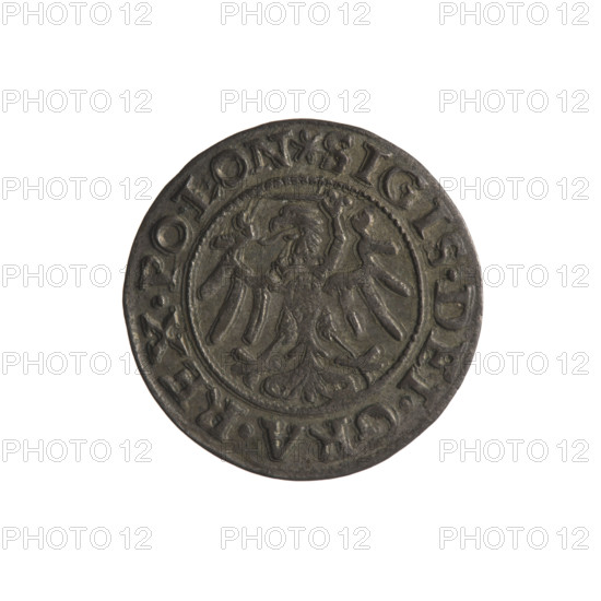 Gdansk szelag, Sigismund I the Old (King of Poland; 1506–1548). Polish coin (Gdansk), 1546. Obverse: Eagle of Royal Prussia; in the rim between pearly borders an inscription: .SIGIS.DEI.GRA.REX.POLON. Reverse: Coat of arms of Gdansk; in the rim between pearly borders an inscription: .MONE.CIVI.GEDANEN.1546. Diameter 19.7–20.0 mm; weight 1.22 g. Subjects: eagles, Jagiellon dynasty, coats of arms.