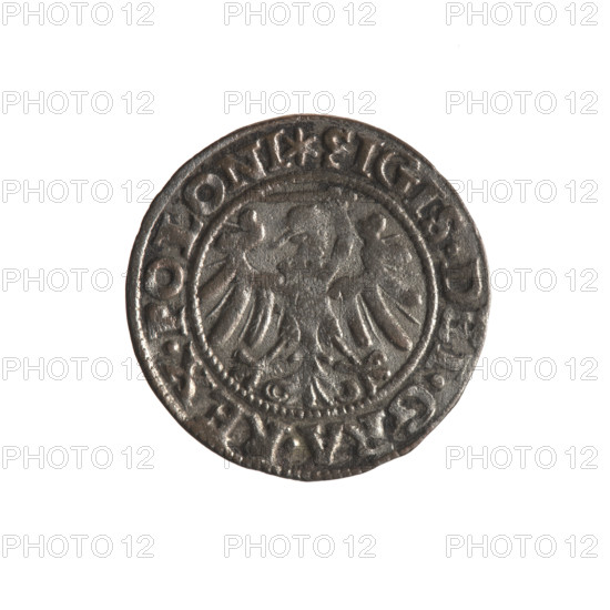 Gdansk szelag, Sigismund I the Old (King of Poland; 1506–1548). Obverse: Eagle of Royal Prussia; in the rim between pearl-shaped borders an inscription: SIGIS.DEI.GRA.REX.POLONI. Reverse: Coat of arms of Gdansk; in the rim between pearl-shaped borders inscription: MON. CIVI. GEDAN. N. 1546. 1546. Poland, Gdansk. Coin. Diameter 19.6–19.8 mm. Weight 1.1 g. Subjects: Eagle (coat of arms), eagles, Jagiellons (dynasty), coats of arms of cities.
