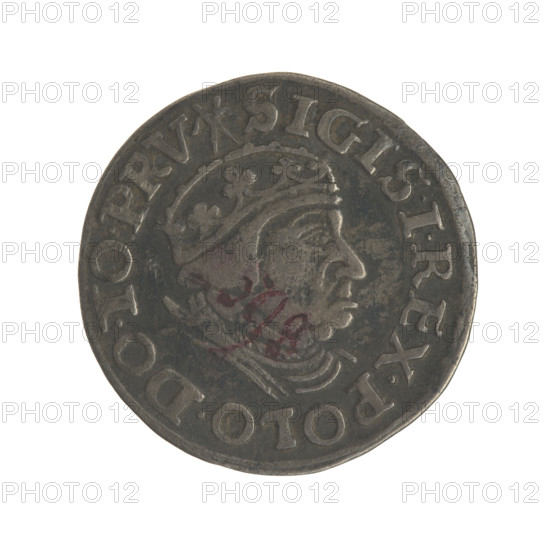 Gdansk trojak, Sigismund I the Old (King of Poland; 1506–1548). Obverse: Crowned male bust in profile turned to the right, inscription around the rim: .SIGIS.I.REX.POLO.DO.TO.PRV. Reverse: Inscription in five lines around the rim, date separated by a shield with the coat of arms of Gdansk: .III./GROSS.AR/TRIP:CIVI./GE, ANEN/.15 - 39., 1539. Polish coin; Jagiellon dynasty; city coat of arms (Gdansk); royal bust; diameter 21.2–21.5 mm; weight 2.6 g.