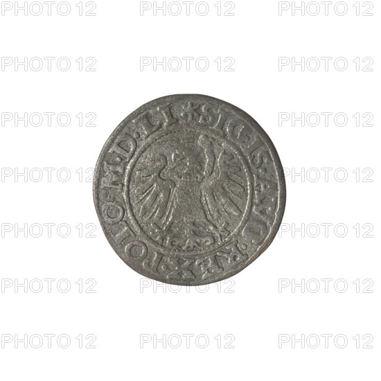 Gdansk szelag, Sigismund II Augustus (King of Poland; 1544–1572). Obv.: Eagle of Royal Prussia; in the rim between pearly borders an inscription: .SIGIS.AVG.REX.POLO.MDLI. Rev.: Coat of arms of Gdansk; in the rim between pearly borders an inscription: .MONE.CIVI.GEDANEN.1549. 1549. Poland, Gdansk. Coin (szelag), diameter 19.7–20.0 mm, weight 1.02 g. Includes coats of arms, eagles, and Jagiellon dynasty references.