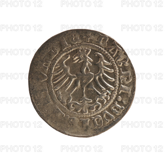 Lithuanian half-grosz, Sigismund I the Old (king of Poland; 1506–1548). Obverse: Pursuer (emblem of Lithuania) turned left; rim between pearl borders with inscription '+ COIN: SIGISMV'. Reverse: Polish crowned eagle; rim between pearl borders with inscription '+ MAGNI:DVCI'. Dated 1513. Minted in Vilnius, Grand Duchy of Lithuania, Poland. Coin; diameter 19.8–20.2 mm; weight 1.26 g.